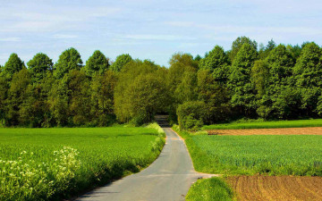 Картинка природа