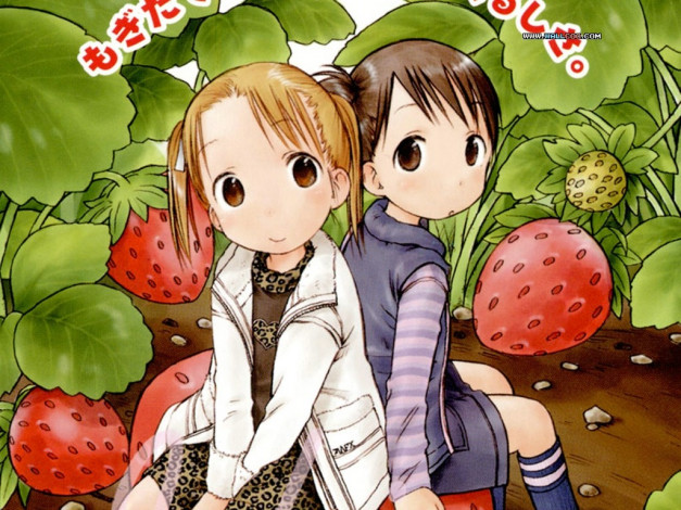 Обои картинки фото аниме, ichigo, mashimaro