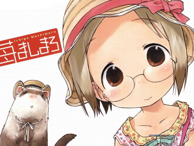 Обои картинки фото аниме, ichigo, mashimaro