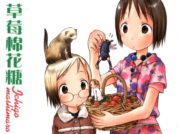 Обои картинки фото аниме, ichigo, mashimaro