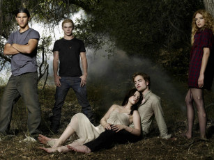 Картинка кино фильмы the twilight