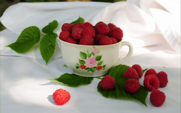 Картинка еда малина