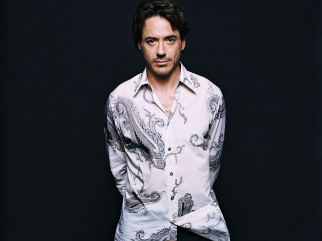 Обои картинки фото robert, downey, jr, мужчины