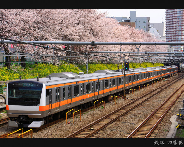 Обои картинки фото техника, электрички