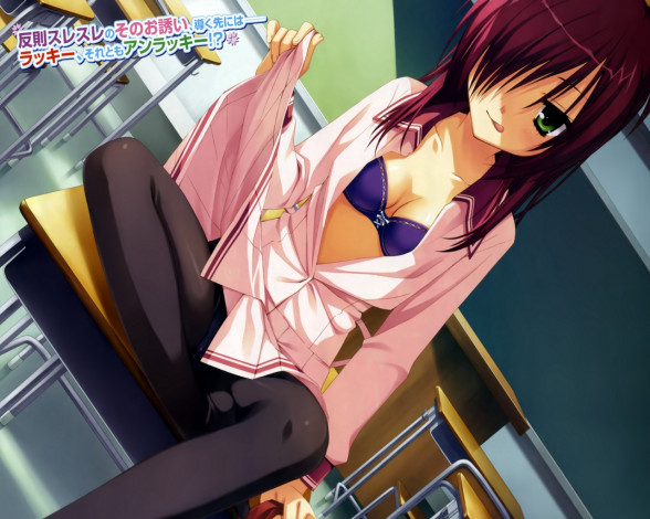 Обои картинки фото tenshinranman, visual, novel, аниме