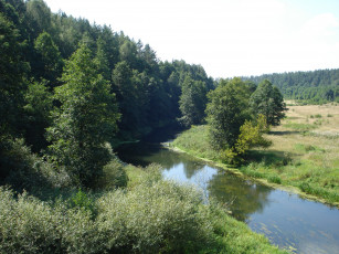 Картинка природа реки озера