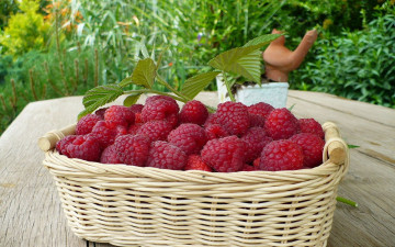 Картинка еда малина корзинка