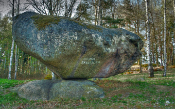 обоя природа, камни, минералы, лес, валун