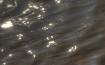 Картинка природа вода блики