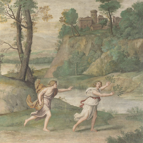 Обои картинки фото domenico, zampieri, apollo, pursuing, daphne, рисованные, domenichino