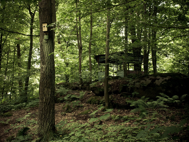 Обои картинки фото природа, лес, деревья, беседка