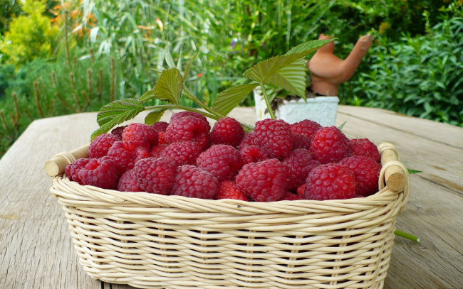 Обои картинки фото еда, малина, корзинка