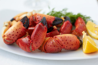 Картинка еда рыба +морепродукты +суши +роллы крабы