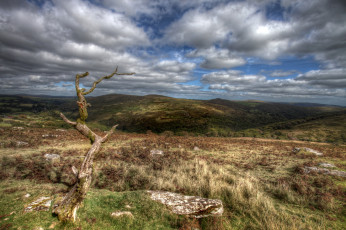 Картинка природа горы облака трава коряга равнина холмы