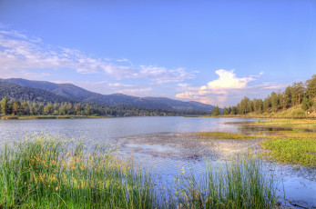 Картинка природа реки озера река лес простор холмы