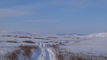 Картинка природа зима