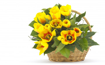 Картинка цветы тюльпаны жёлтые листья корзина