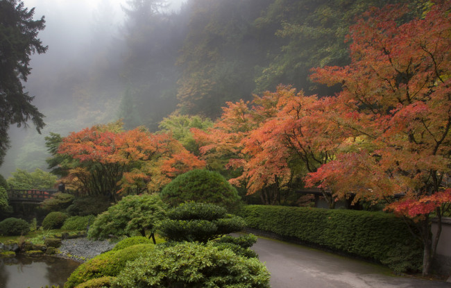 Обои картинки фото природа, парк, дорожка, ручей, мостик, деревья, кустарник, туман