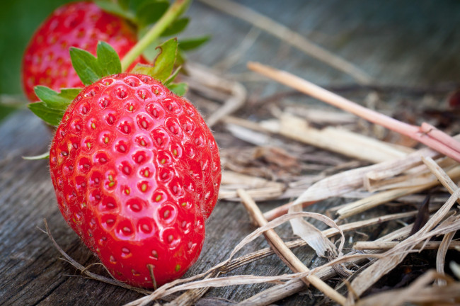 Обои картинки фото еда, клубника,  земляника
