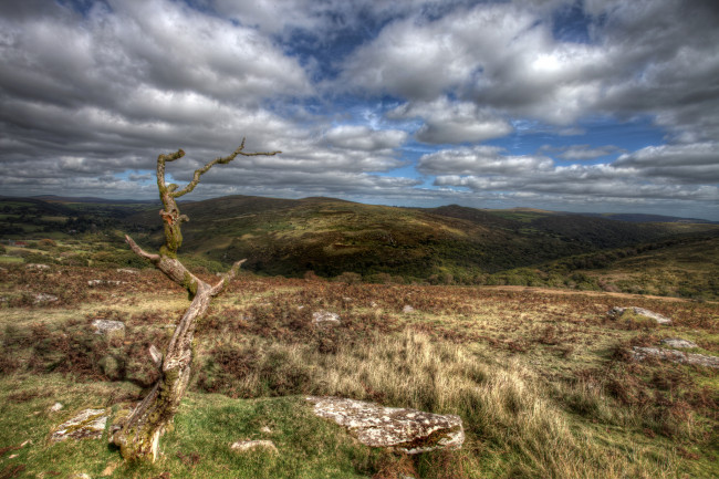 Обои картинки фото природа, горы, облака, трава, коряга, равнина, холмы