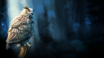 Картинка рисованное животные +птицы +совы +филины ночь взгляд сова птица