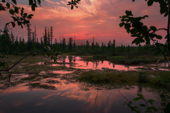 Картинка природа реки озера река лес