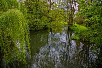 Картинка природа реки озера лес река