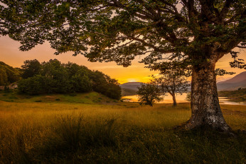 Картинка природа реки озера лес река