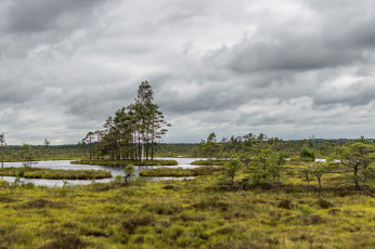 Картинка природа реки озера река лес