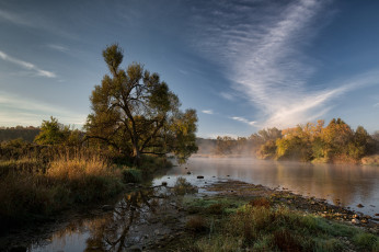 Картинка природа реки озера река лес