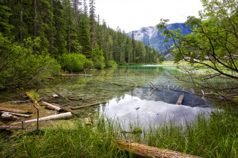 Картинка природа реки озера река лес