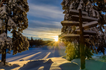 Картинка природа зима снег