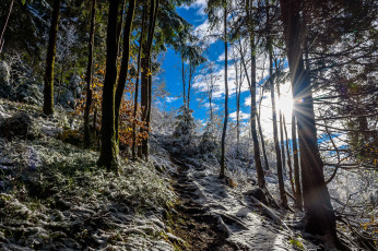 Картинка природа зима снег