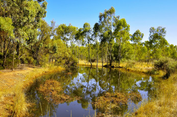 Картинка природа реки озера лес река