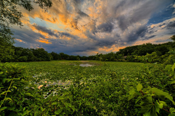 Картинка природа реки озера река лес