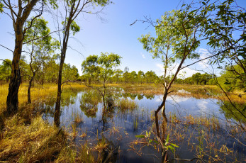 Картинка природа реки озера река лес