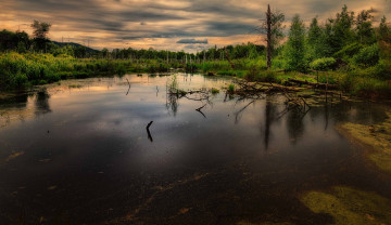 Картинка природа реки озера река лес