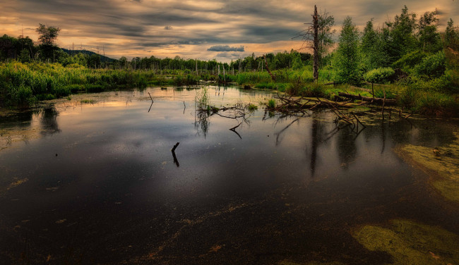 Обои картинки фото природа, реки, озера, река, лес