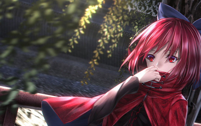 Обои картинки фото touhou, аниме