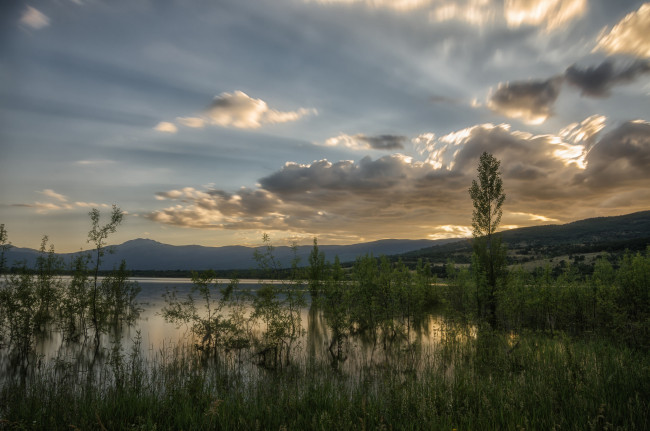 Обои картинки фото природа, реки, озера, река, лес