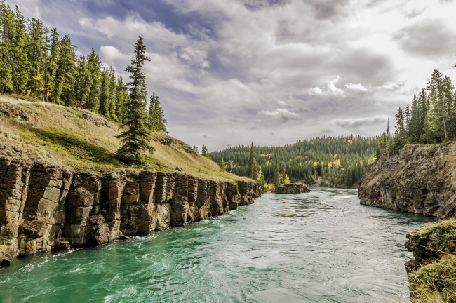 Обои картинки фото природа, реки, озера, лес, река