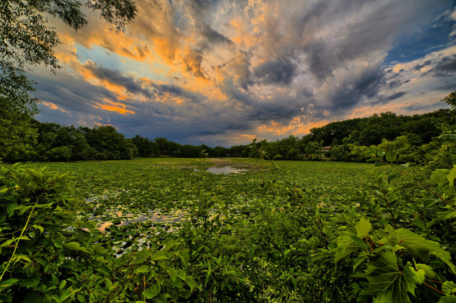 Обои картинки фото природа, реки, озера, река, лес