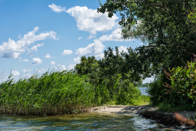 Обои картинки фото природа, реки, озера, лес, река