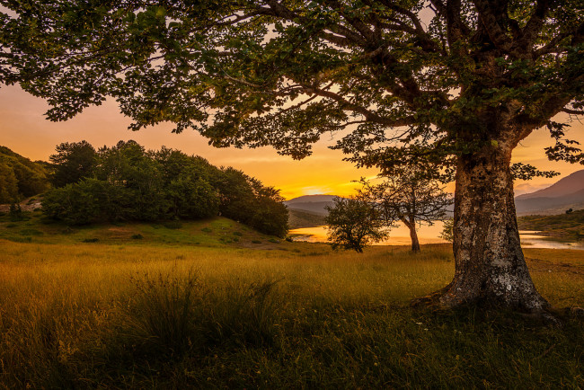 Обои картинки фото природа, реки, озера, лес, река