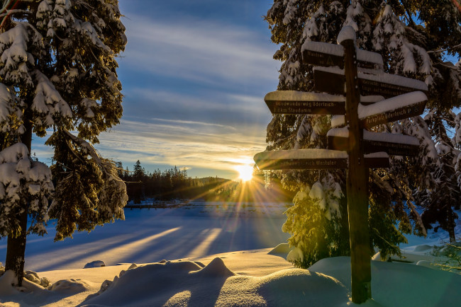 Обои картинки фото природа, зима, снег