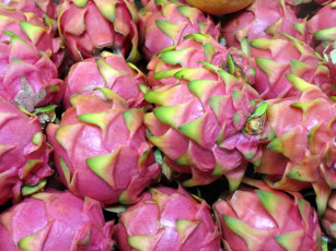 обоя еда, питахайя, экзотический, фрукт