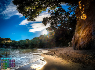 Картинка новая+зеландия календари природа деревья водоем 2018 берег