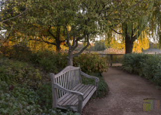 Картинка календари природа дорога деревья скамейка 2018