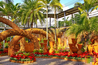 Картинка таиланд календари природа пальма растения 2018