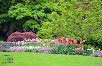 Картинка календари цветы деревья тюльпан 2018